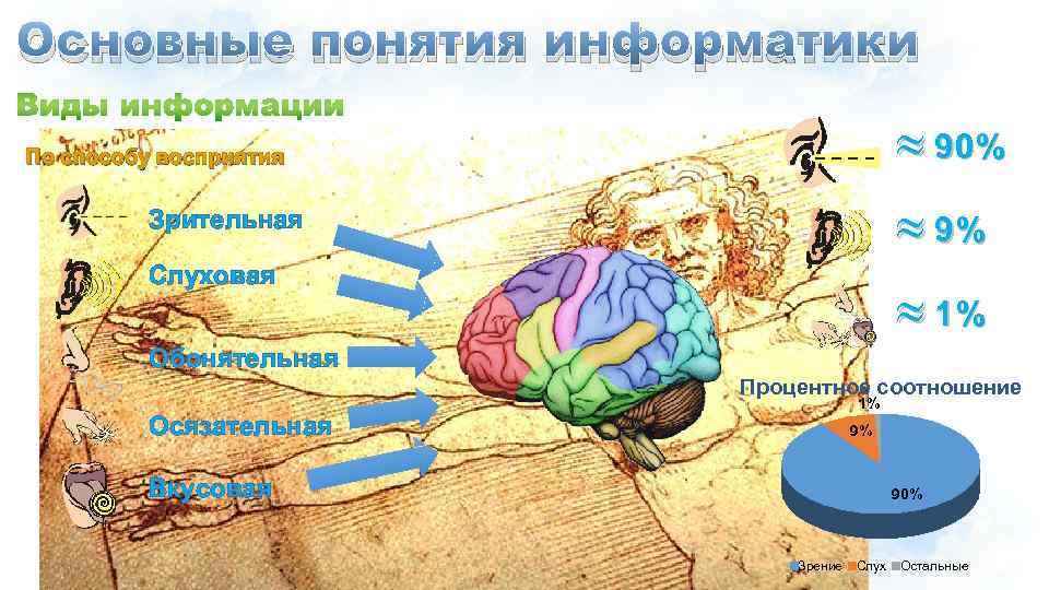 Основные понятия информатики » 90% По способу восприятия » 9% Зрительная Слуховая » 1%