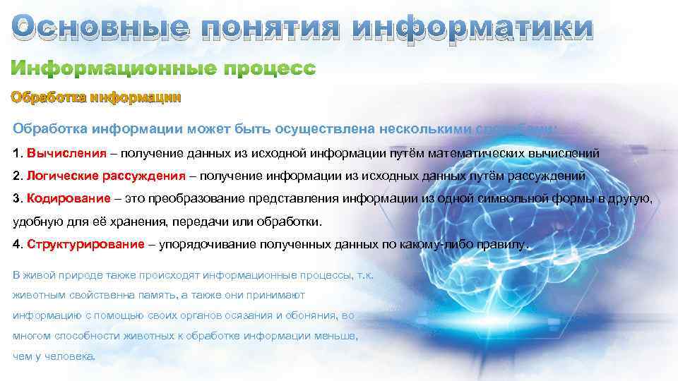Основные понятия информатики Обработка информации может быть осуществлена несколькими способами: 1. Вычисления – получение