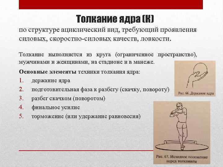 Толкание ядра (К) по структуре ациклический вид, требующий проявления силовых, скоростно-силовых качеств, ловкости. Толкание