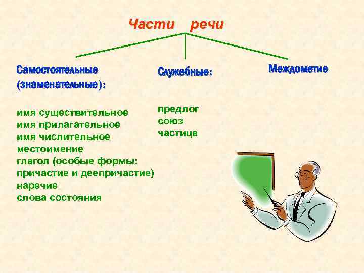 Части Самостоятельные (знаменательные): речи Служебные: предлог имя существительное союз имя прилагательное частица имя числительное