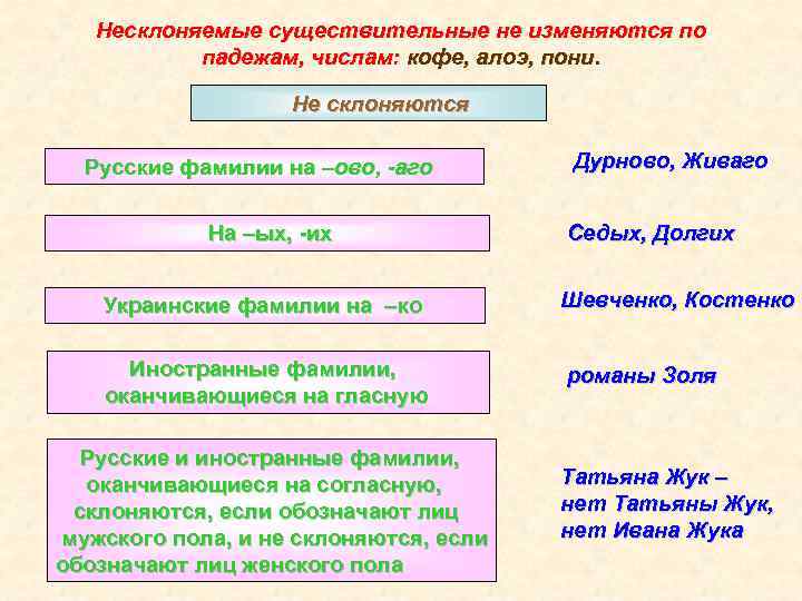 Несклоняемые существительные не изменяются по падежам, числам: кофе, алоэ, пони. Не склоняются Русские фамилии