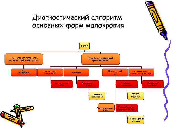Диагностический алгоритм основных форм малокровия анемия При наличии признаков значительной кровопотери Острая Постгеморрагическая анемия