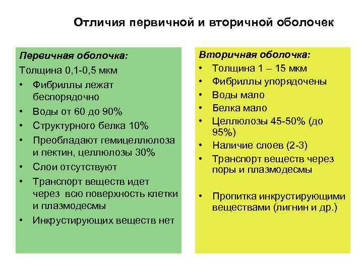 Отличия первичной и вторичной оболочек Первичная оболочка: Толщина 0, 1 -0, 5 мкм •