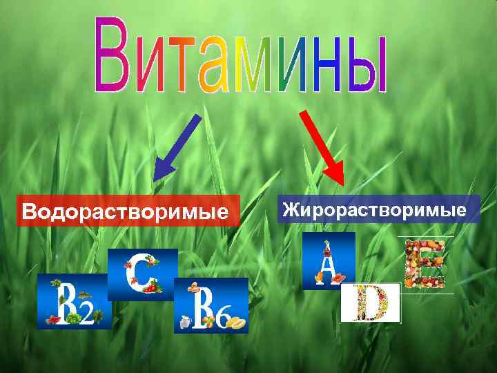 Водорастворимые Жирорастворимые 