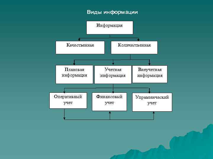 Виды информации Информация Качественная Плановая информация Оперативный учет Количественная Учетная информация Финансовый учет Внеучетная