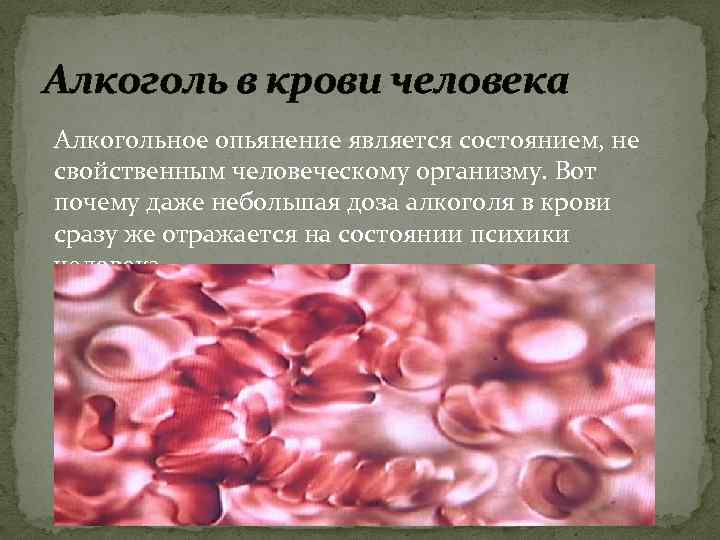 Алкоголь в крови человека Алкогольное опьянение является состоянием, не свойственным человеческому организму. Вот почему