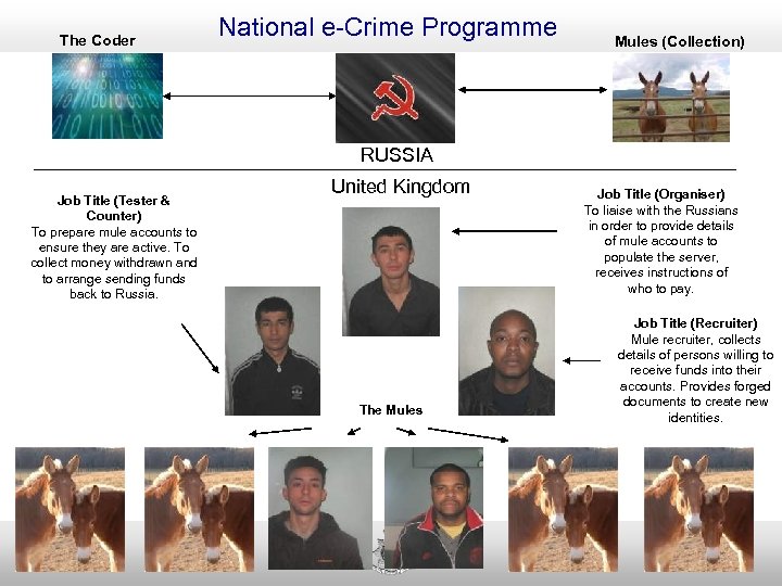 The Coder National e-Crime Programme Mules (Collection) RUSSIA Job Title (Tester & Counter) To