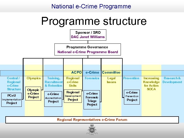 National e-Crime Programme structure Sponsor / SRO DAC Janet Williams Programme Governance National e-Crime