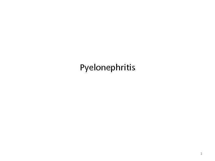 Pyelonephritis 1 