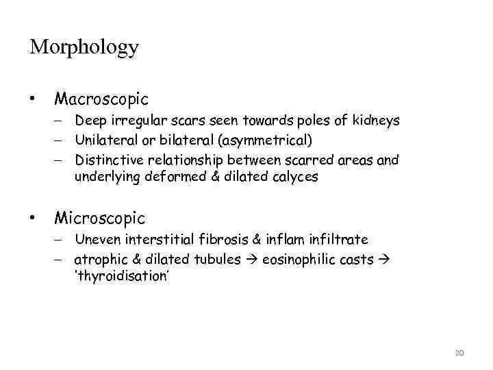 Morphology • Macroscopic – Deep irregular scars seen towards poles of kidneys – Unilateral