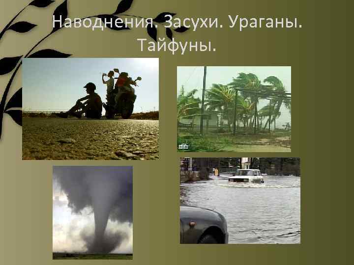 Наводнения. Засухи. Ураганы. Тайфуны. 