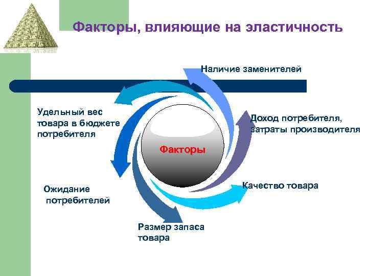 Факторы, влияющие на эластичность Наличие заменителей Удельный вес товара в бюджете потребителя Доход потребителя,