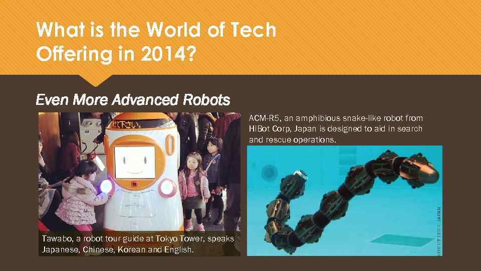 What is the World of Tech Offering in 2014? Even More Advanced Robots ACM-R