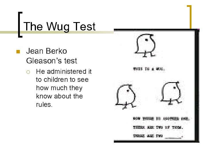The Wug Test n Jean Berko Gleason’s test ¡ He administered it to children