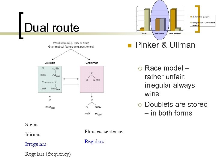 Dual route n Pinker & Ullman ¡ ¡ Stems Idioms Irregulars Regulars (frequency) Phrases,