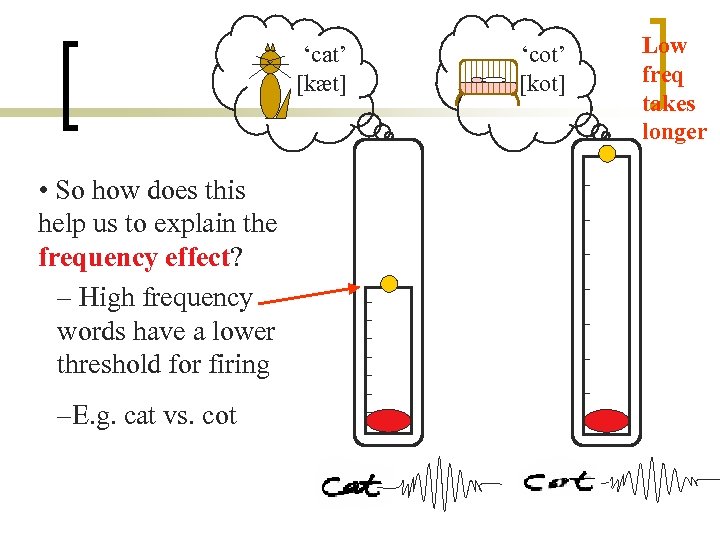 ‘cat’ [kæt] • So how does this help us to explain the frequency effect?