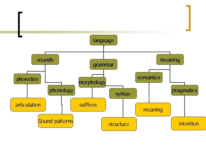 A nyelv szerkezete language sounds phonetics meaning grammar semantics morphology phonology articulation Sound patterns