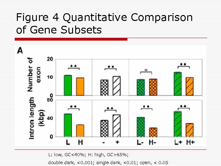 Figure 4 Quantitative Comparison of Gene Subsets L: low, GC<40%; H: high, GC>65%; double