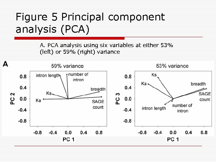Figure 5 Principal component analysis (PCA) A. PCA analysis using six variables at either