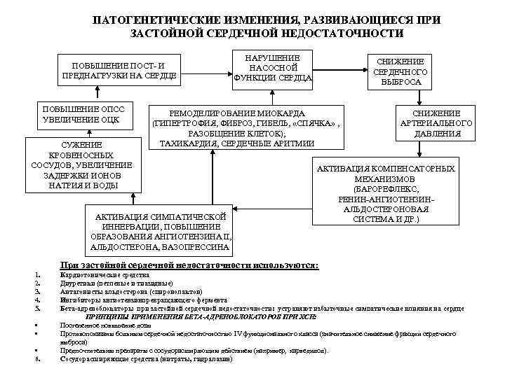 ПАТОГЕНЕТИЧЕСКИЕ ИЗМЕНЕНИЯ, РАЗВИВАЮЩИЕСЯ ПРИ ЗАСТОЙНОЙ СЕРДЕЧНОЙ НЕДОСТАТОЧНОСТИ ПОВЫШЕНИЕ ПОСТ- И ПРЕДНАГРУЗКИ НА СЕРДЦЕ ПОВЫШЕНИЕ