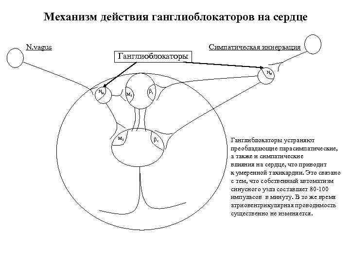 Механизм действия ганглиоблокаторов на сердце N. vagus Ганглиоблокаторы Симпатическая иннервация NN NN M 2