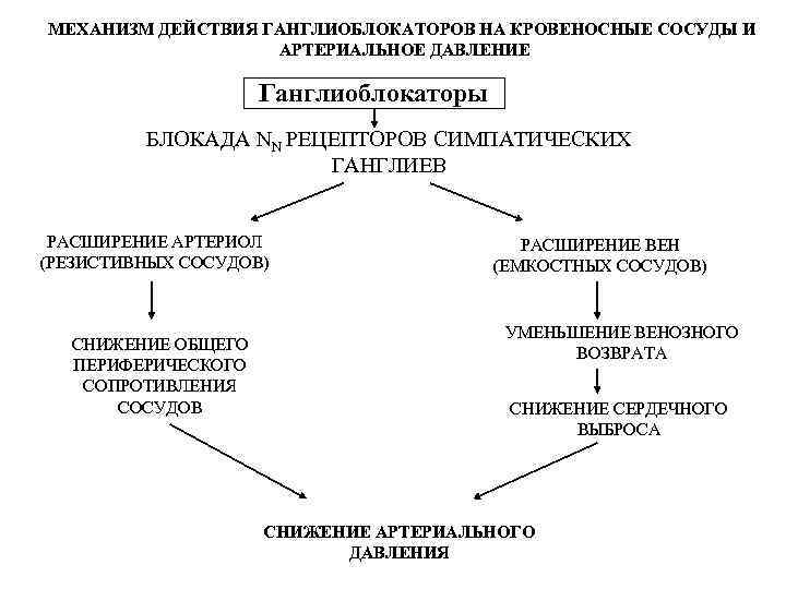 МЕХАНИЗМ ДЕЙСТВИЯ ГАНГЛИОБЛОКАТОРОВ НА КРОВЕНОСНЫЕ СОСУДЫ И АРТЕРИАЛЬНОЕ ДАВЛЕНИЕ Ганглиоблокаторы БЛОКАДА NN РЕЦЕПТОРОВ СИМПАТИЧЕСКИХ