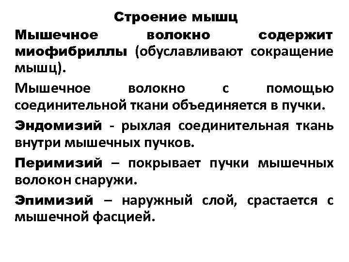Строение мышц Мышечное волокно содержит миофибриллы (обуславливают сокращение мышц). Мышечное волокно с помощью соединительной