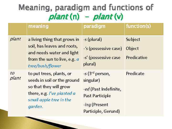 Meaning, paradigm and functions of plant (n) – plant (v) meaning plant to plant