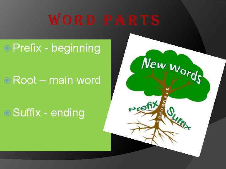 Word Parts Prefix - beginning Root – main word Suffix - ending 