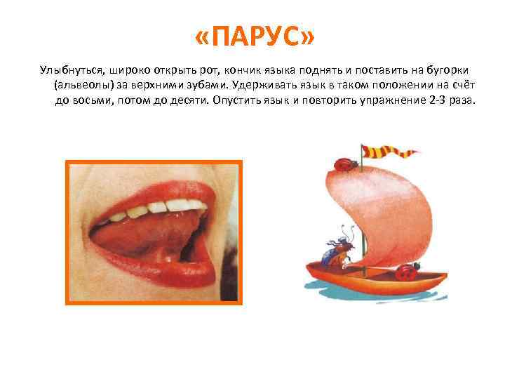  «ПАРУС» Улыбнуться, широко открыть рот, кончик языка поднять и поставить на бугорки (альвеолы)
