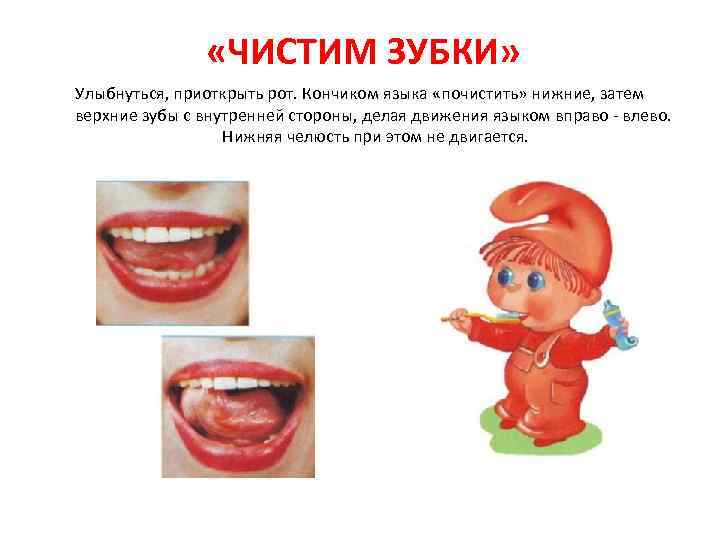  «ЧИСТИМ ЗУБКИ» Улыбнуться, приоткрыть рот. Кончиком языка «почистить» нижние, затем верхние зубы с