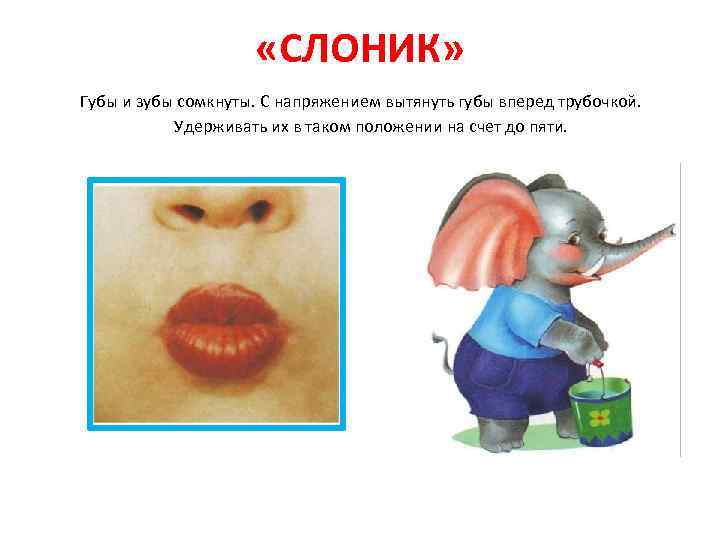  «СЛОНИК» Губы и зубы сомкнуты. С напряжением вытянуть губы вперед трубочкой. Удерживать их