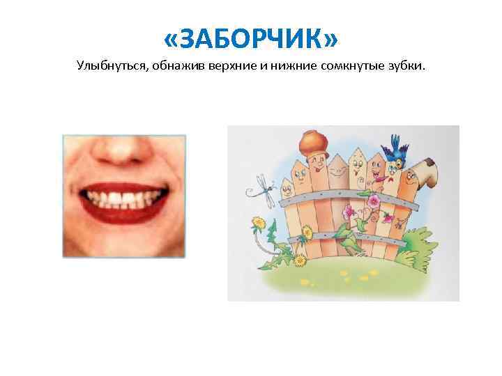  «ЗАБОРЧИК» Улыбнуться, обнажив верхние и нижние сомкнутые зубки. 