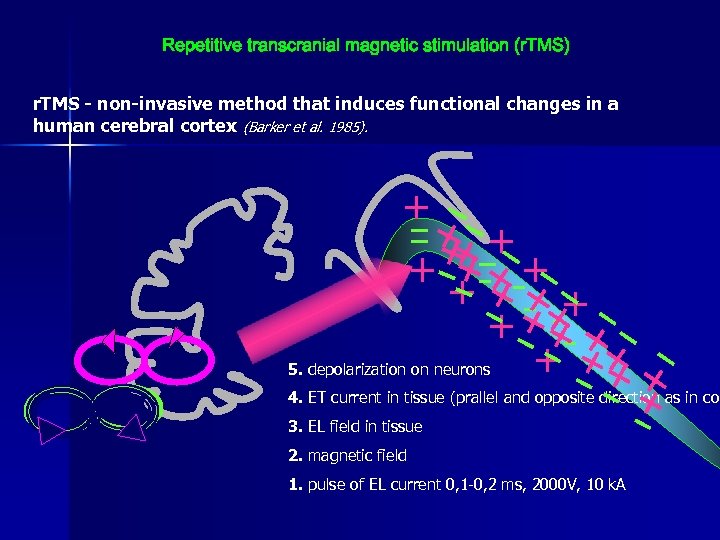 Repetitive transcranial magnetic stimulation (r. TMS) r. TMS - non-invasive method that induces functional