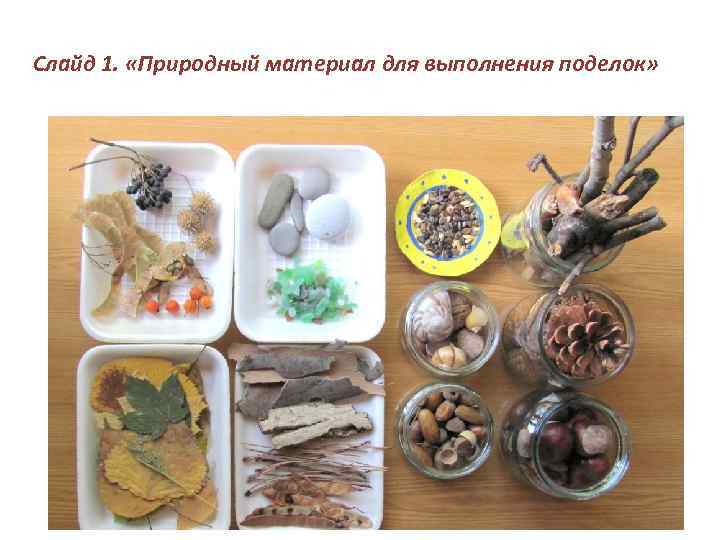 Слайд 1. «Природный материал для выполнения поделок» 