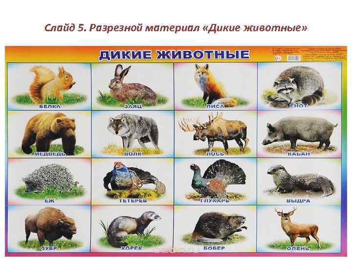 Слайд 5. Разрезной материал «Дикие животные» 