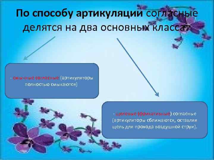 По способу артикуляции согласные делятся на два основных класса: - смычные согласные {артикуляторы полностью