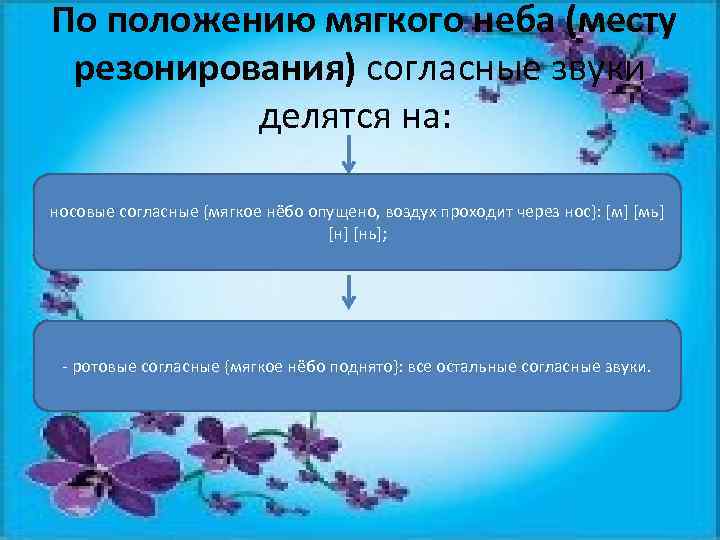  По положению мягкого неба (месту резонирования) согласные звуки делятся на: носовые согласные {мягкое