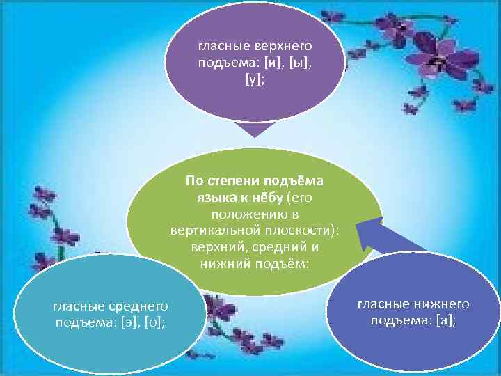 гласные верхнего подъема: [и], [ы], [у]; По степени подъёма языка к нёбу (его положению