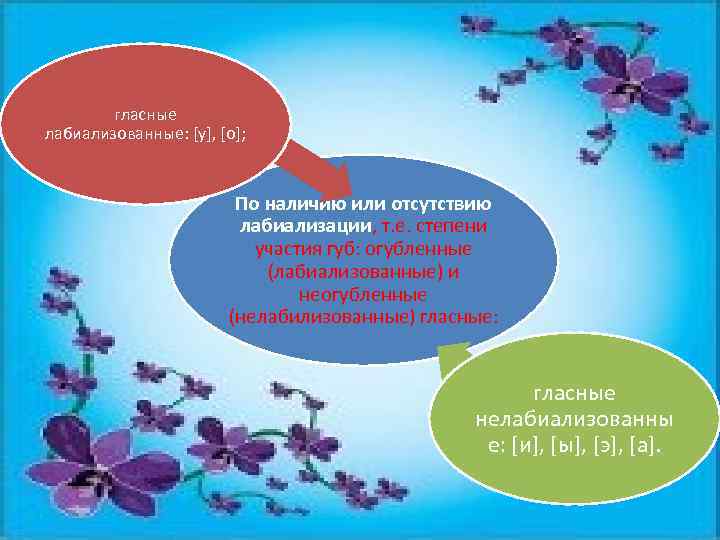 гласные лабиализованные: [у], [о]; По наличию или отсутствию лабиализации, т. е. степени участия губ: