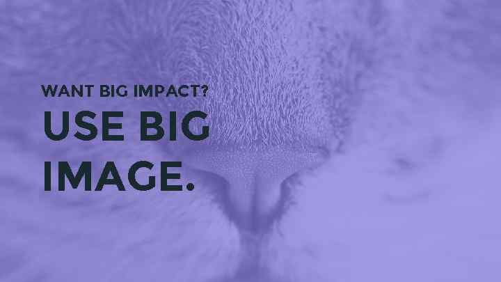 WANT BIG IMPACT? USE BIG IMAGE. 