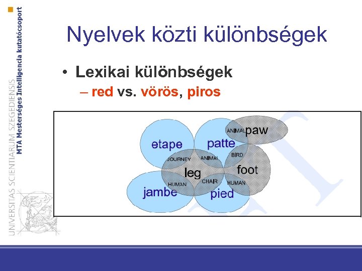 Nyelvek közti különbségek • Lexikai különbségek – red vs. vörös, piros 
