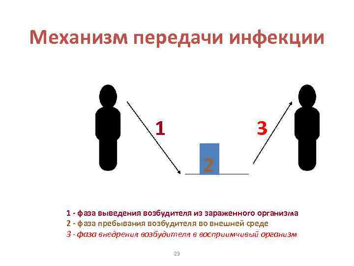 Механизм передачи инфекции 1 3 2 1 - фаза выведения возбудителя из зараженного организма