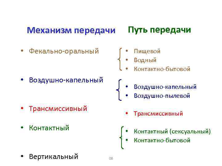 Эпидемический процесс и меры воздействия схема