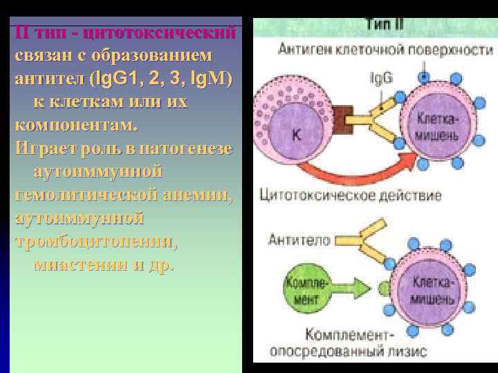 Аутоиммунные заболевания презентация иммунология