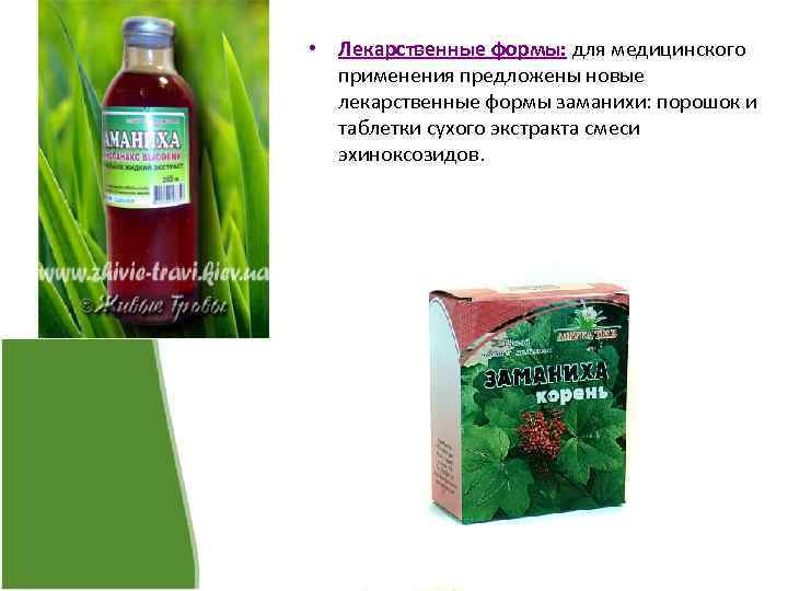  • Лекарственные формы: для медицинского применения предложены новые лекарственные формы заманихи: порошок и