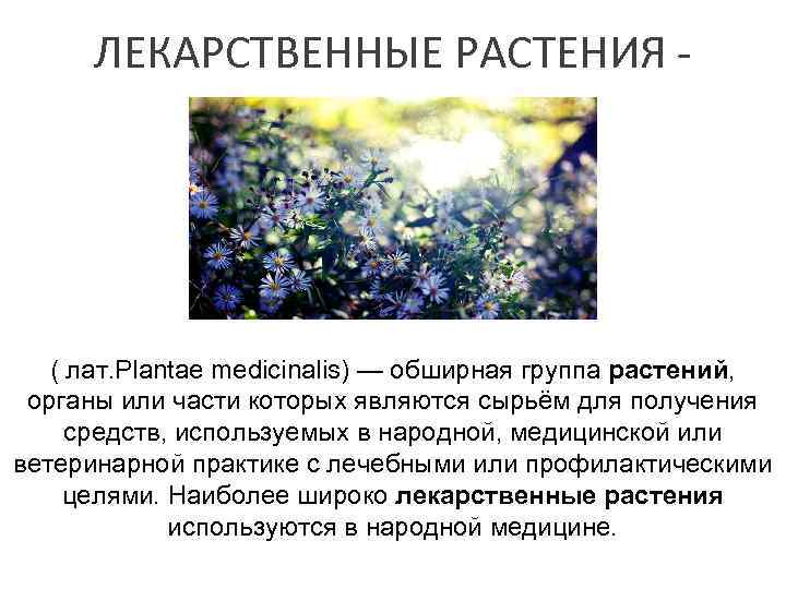 ЛЕКАРСТВЕННЫЕ РАСТЕНИЯ - ( лат. Plantae medicinalis) — обширная группа растений, органы или части