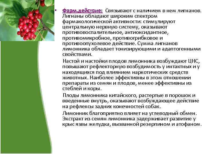  • Фарм. действие: Cвязывают с наличием в нем лигнанов. Лигнаны обладают широким спектром