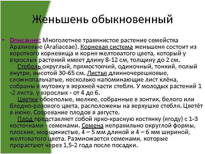 Женьшень обыкновенный • Описание: Многолетнее травянистое растение семейства Аралиевые (Araliaceae). Корневая система женьшеня состоит