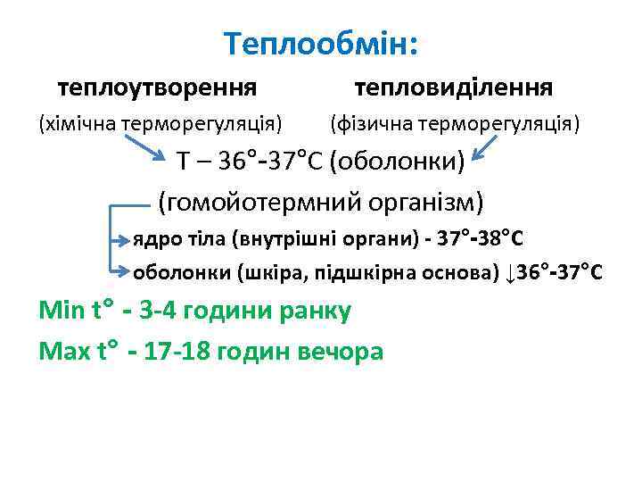 Теплообмін: теплоутворення тепловиділення (хімічна терморегуляція) (фізична терморегуляція) T – 36°-37°С (оболонки) (гомойотермний організм) ядро